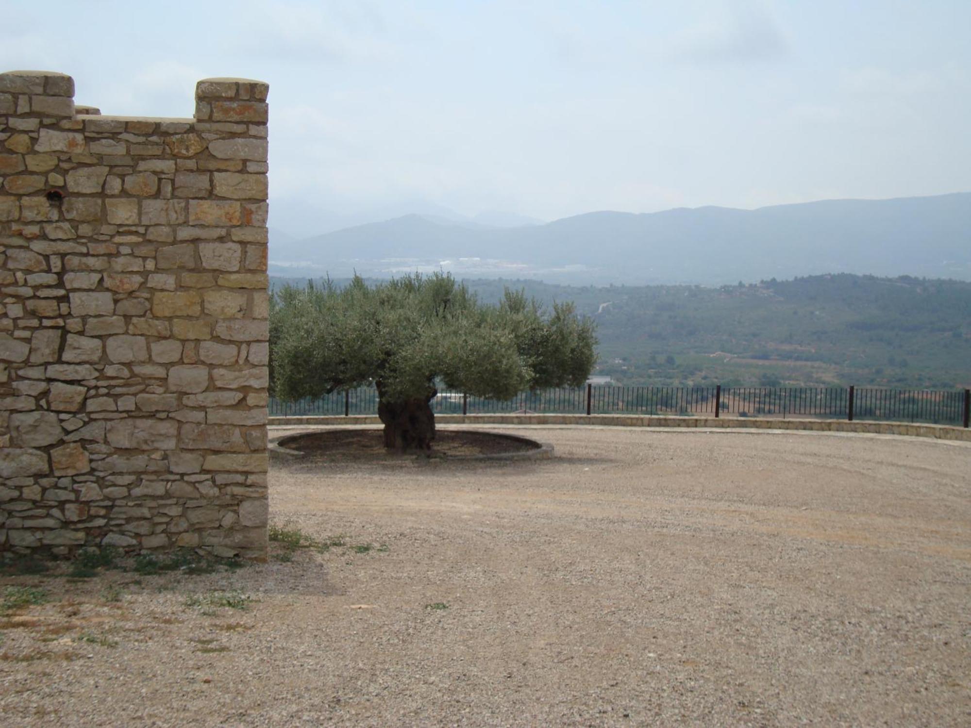 Отель L'Ermita Casa Ripo Vall d'Alba Экстерьер фото