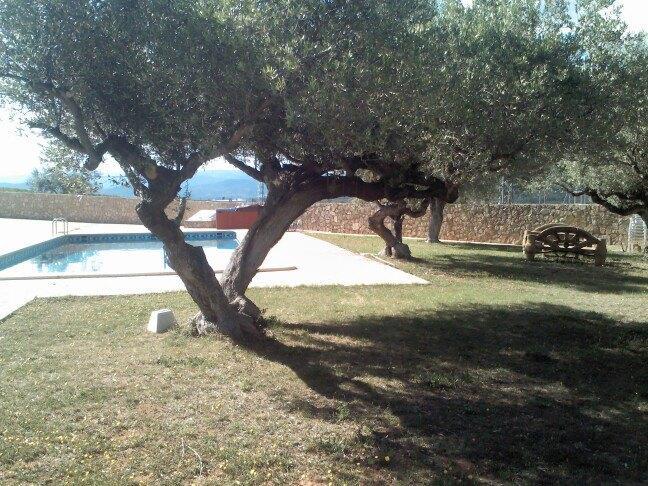 Отель L'Ermita Casa Ripo Vall d'Alba Экстерьер фото